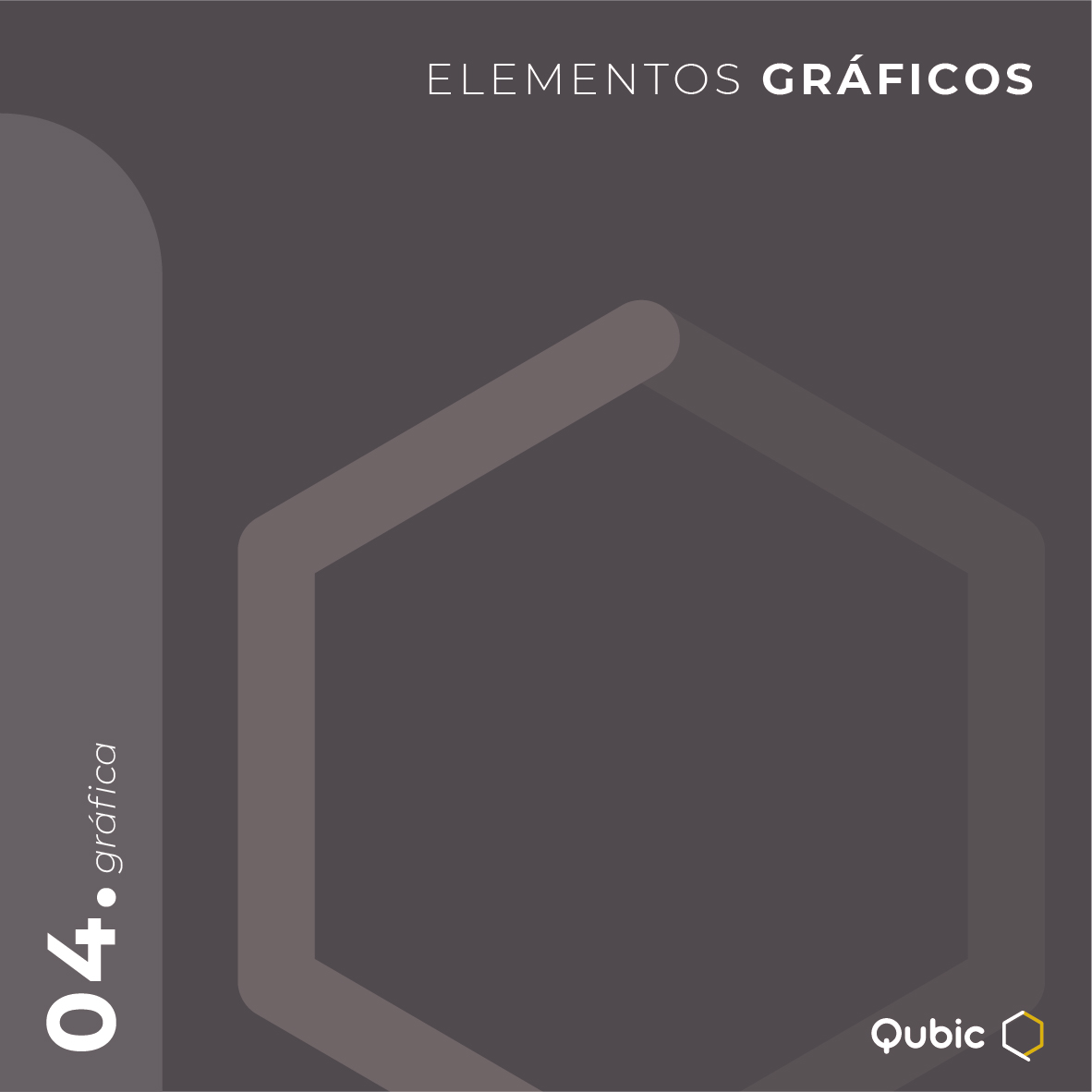 QUBIC PORTFOLIO-38